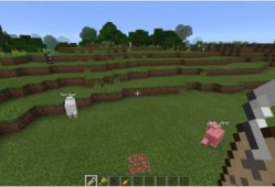 我的世界清风最新爆料,神秘更新即将来袭，探索未知世界！